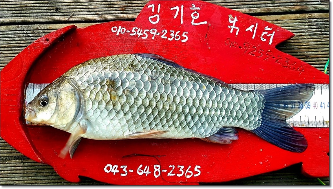 1565485155826.jpg
