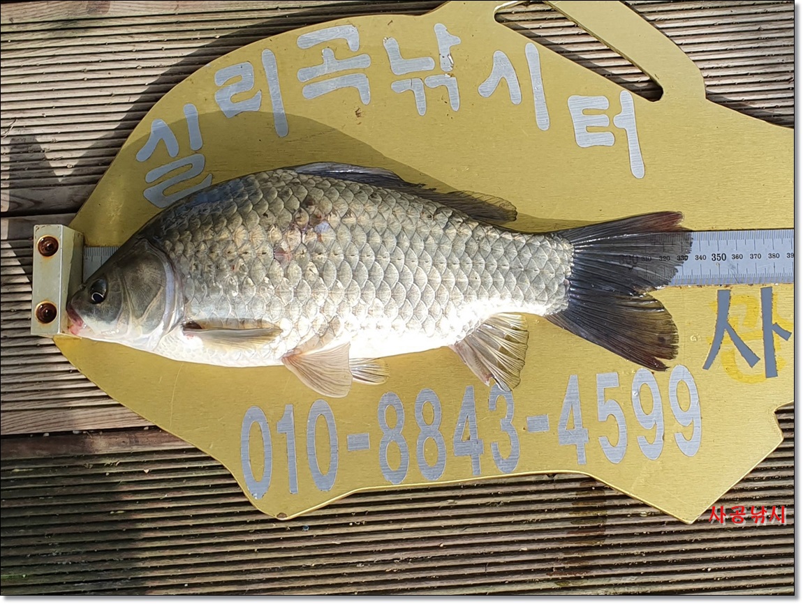 1565485342921.jpg