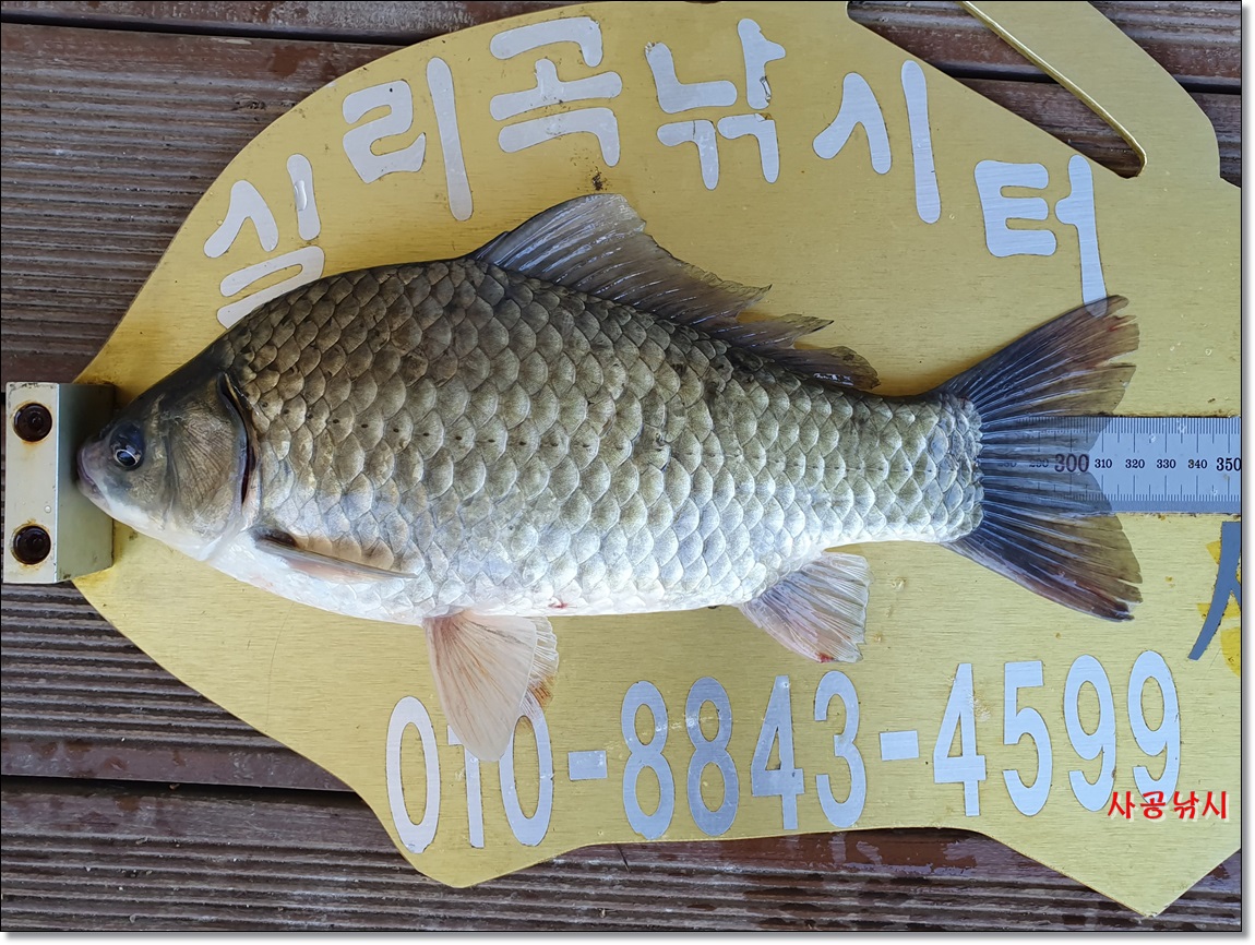 1565485363136.jpg
