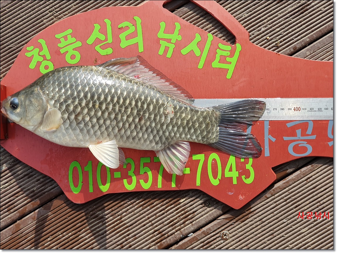 1565485657126-4.jpg