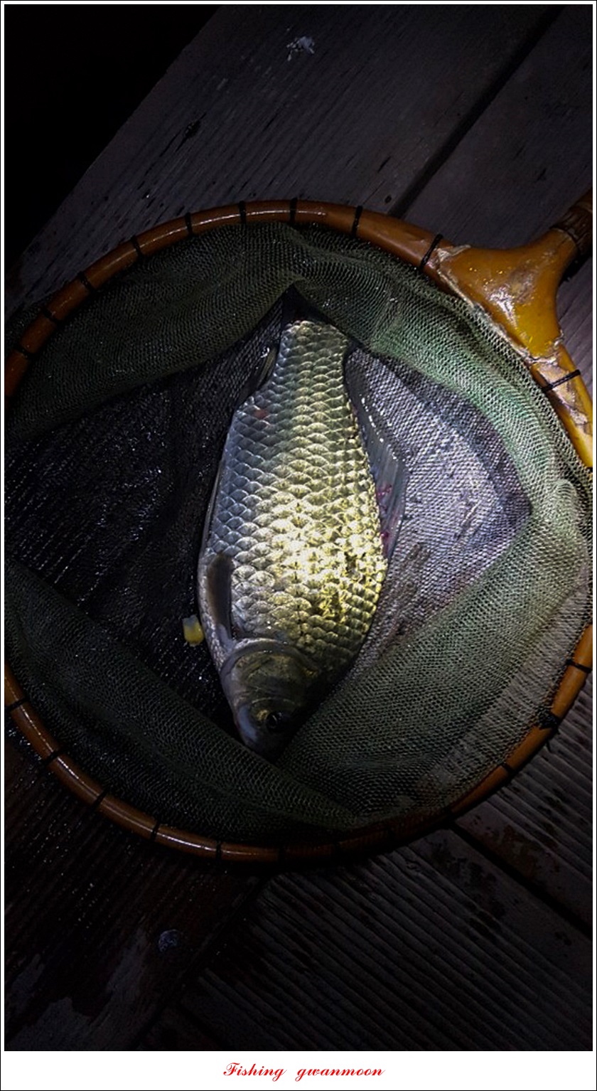 KakaoTalk_20190812_121750088.jpg