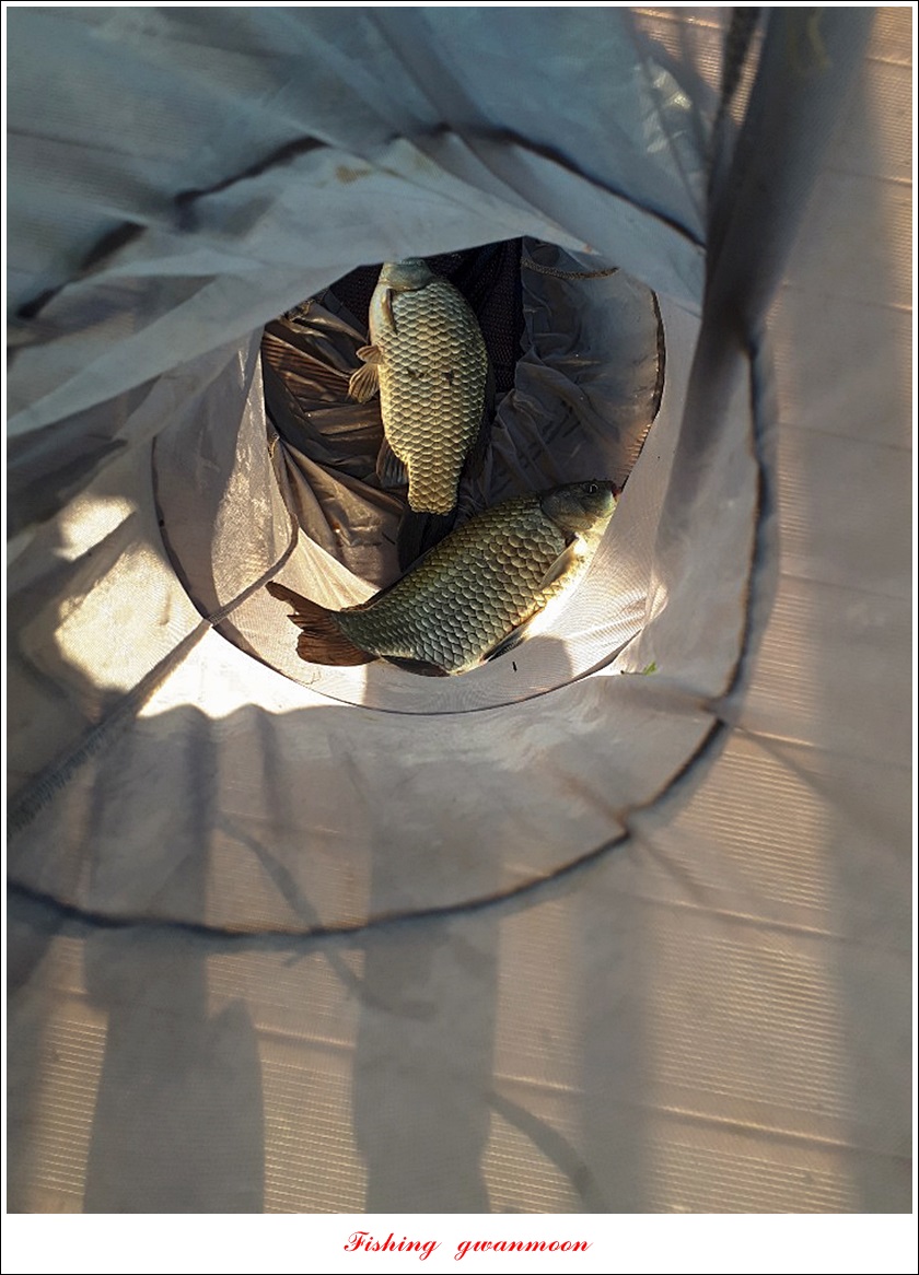 KakaoTalk_20190814_073147471.jpg