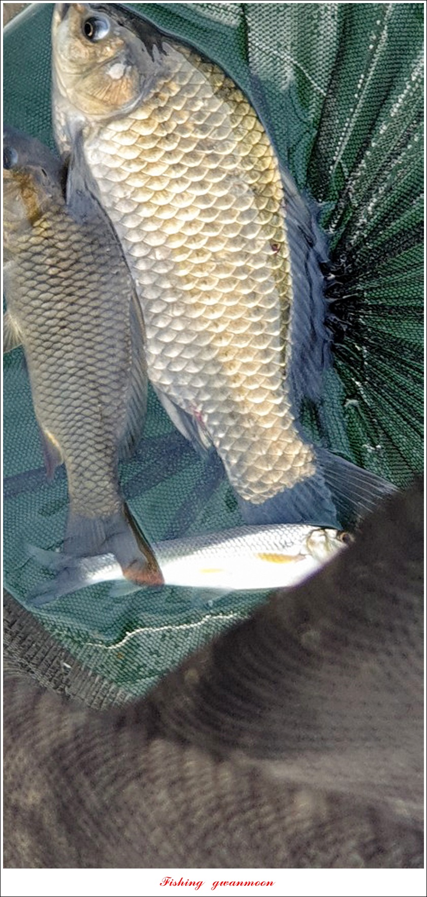 KakaoTalk_20190814_110858496.jpg