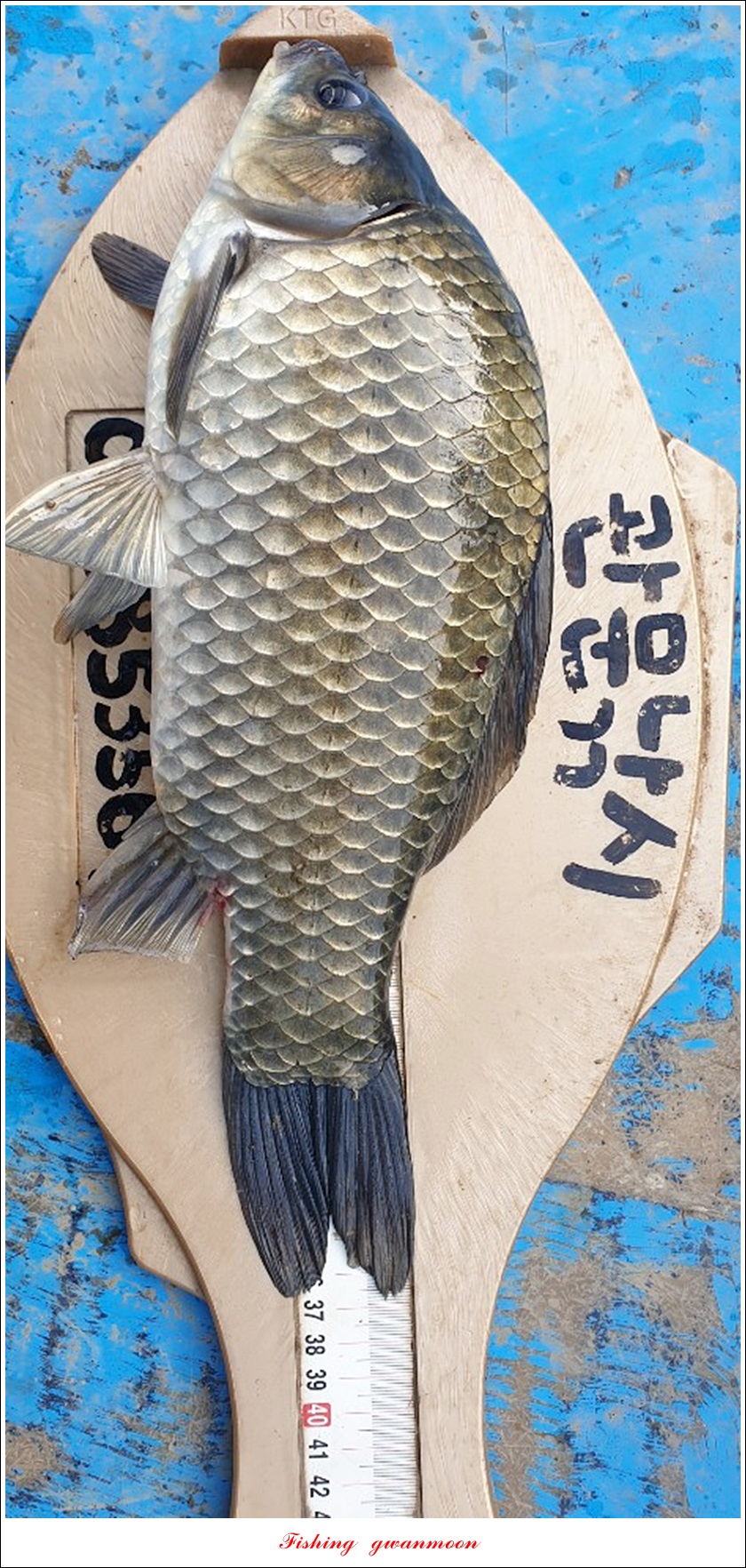KakaoTalk_20190814_110900138.jpg