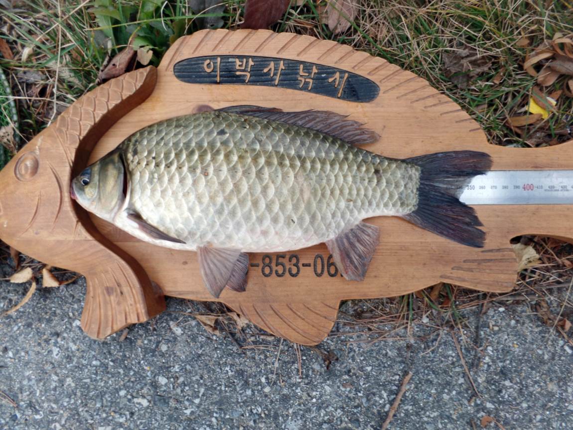 크기변환_034.JPG