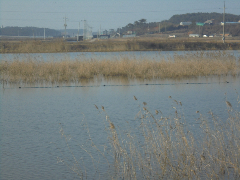꾸미기_2DSC04461.JPG