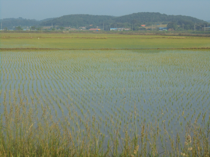 꾸미기_2DSC05038.JPG