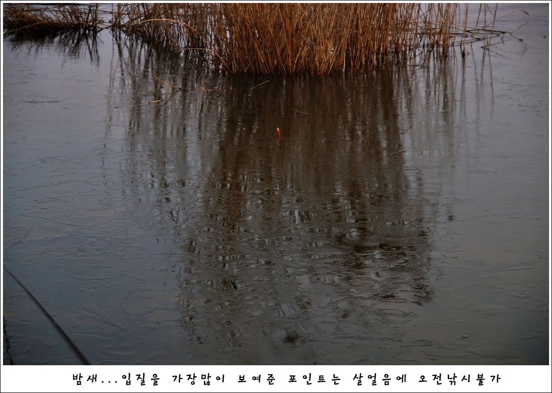 테두리DSC01774.jpg