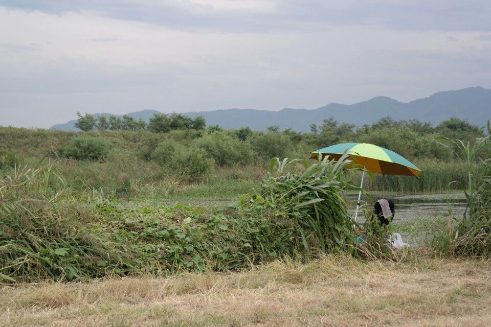 º¸Ã»Ãµ ¹è°æ.jpg