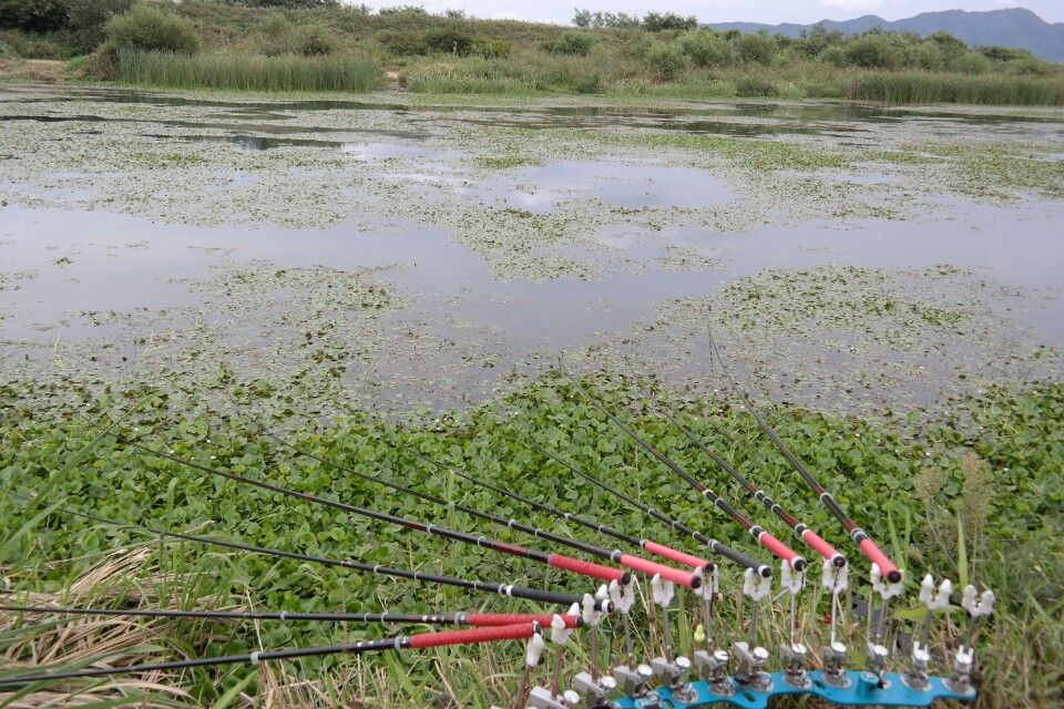 ÀÓÁ¾¿í(ÇÊÀÚ) Æ÷ÀÎÆ®.jpg