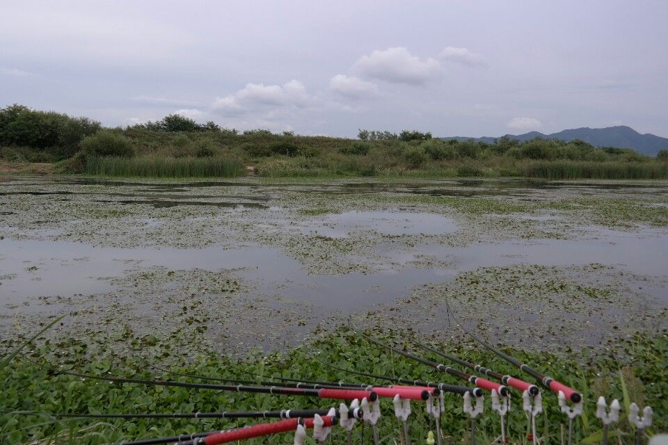 ÀÓÁ¾¿í(ÇÊÀÚ) Æ÷ÀÎÆ®2.jpg