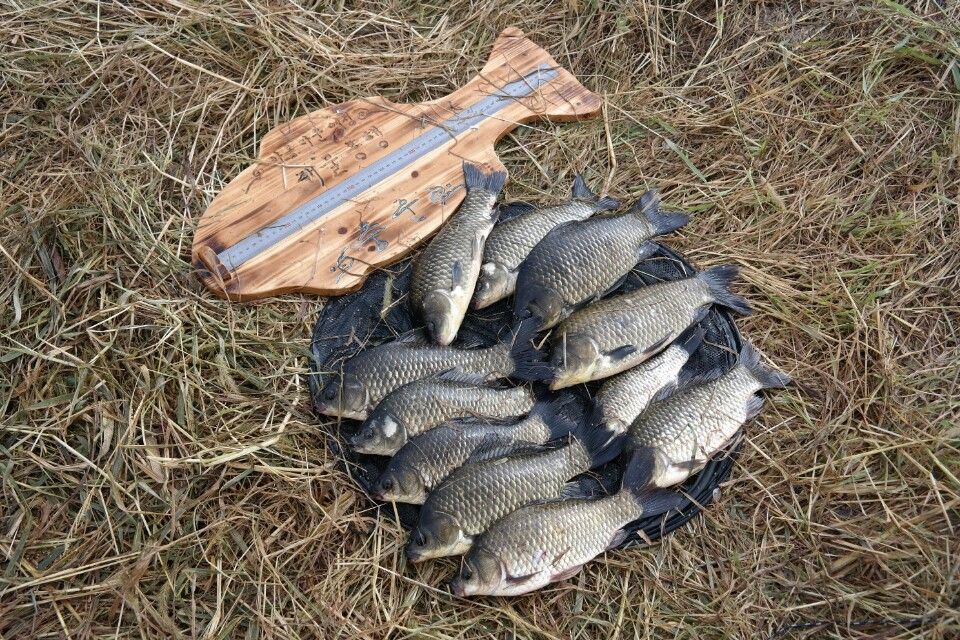 ³²µæ»ó´Ô Á¶°ú.jpg