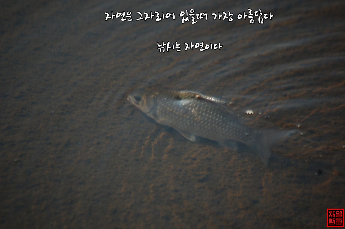 22번.JPG