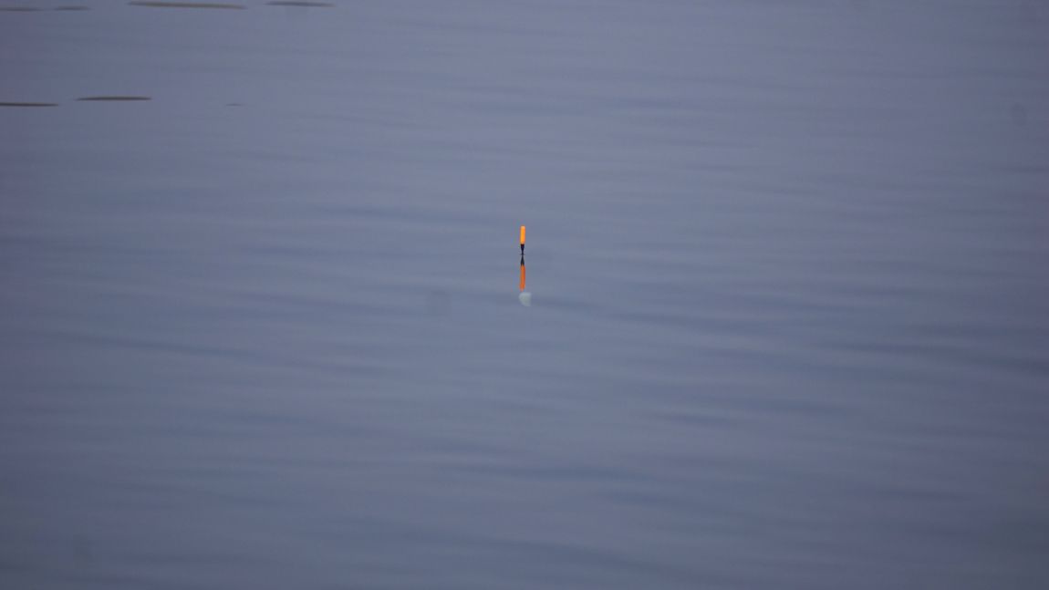 68.jpg