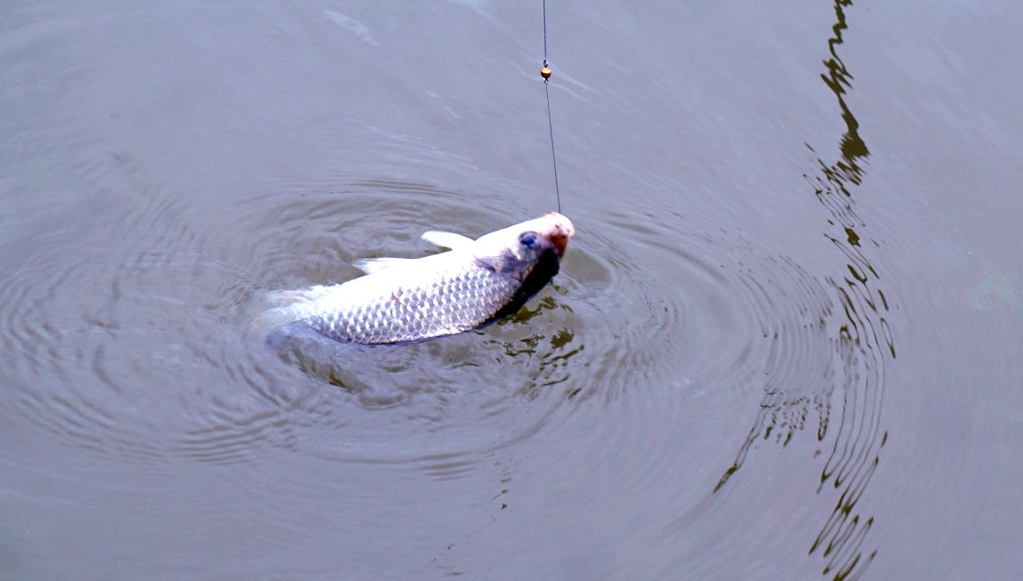 69.jpg