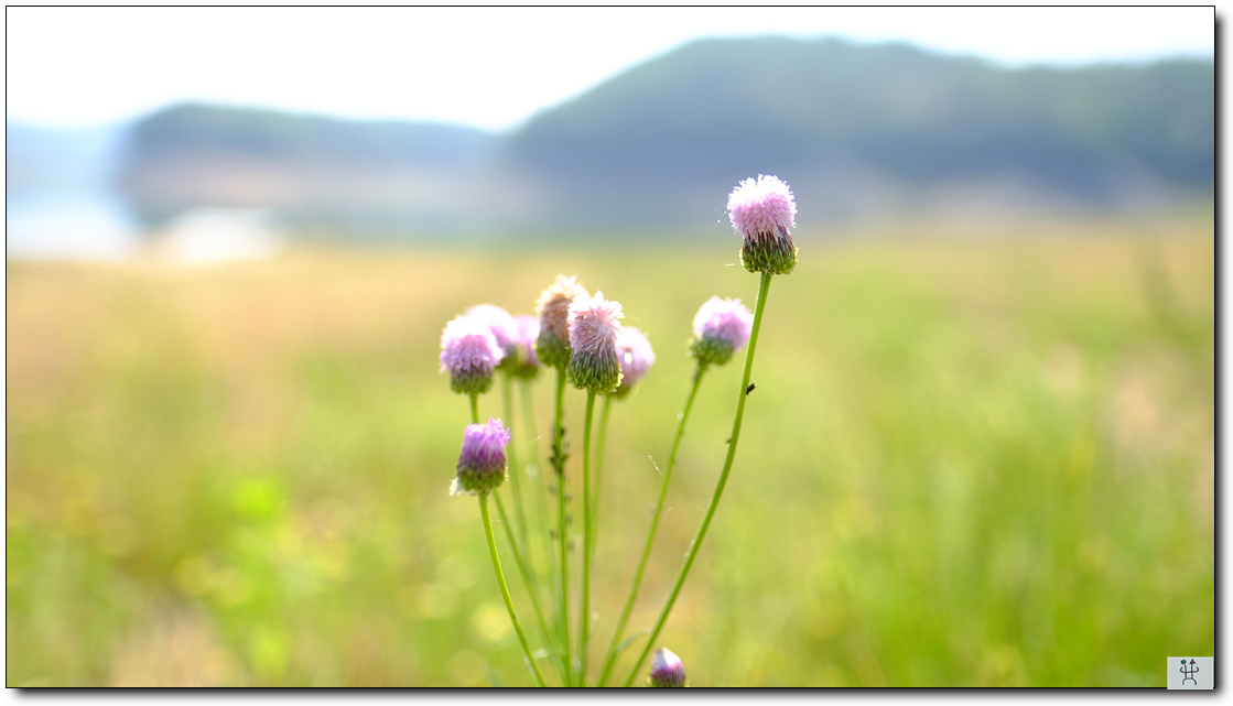 DSCF3093.jpg