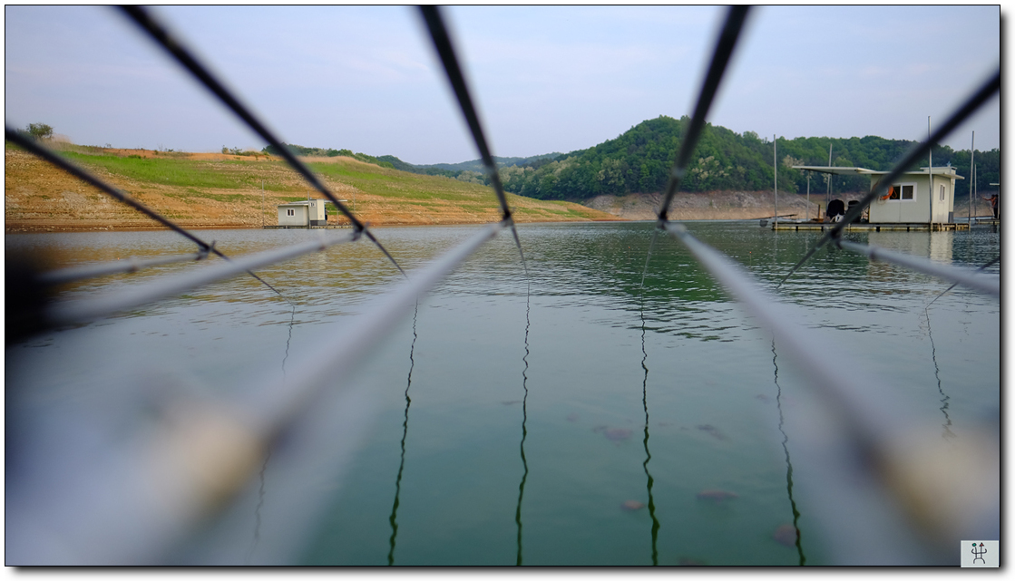DSCF2923.jpg