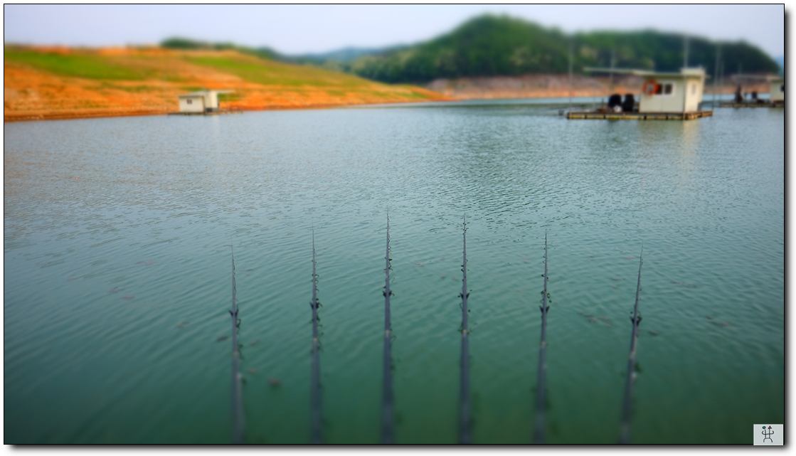 DSCF2925.jpg