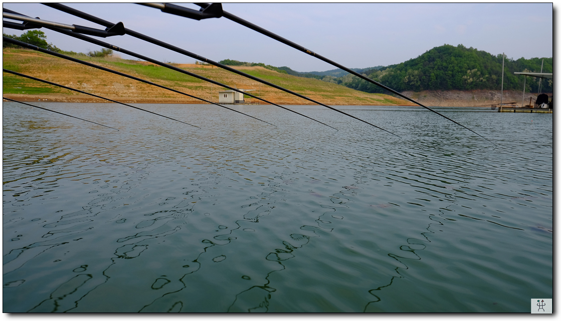 DSCF2933.jpg