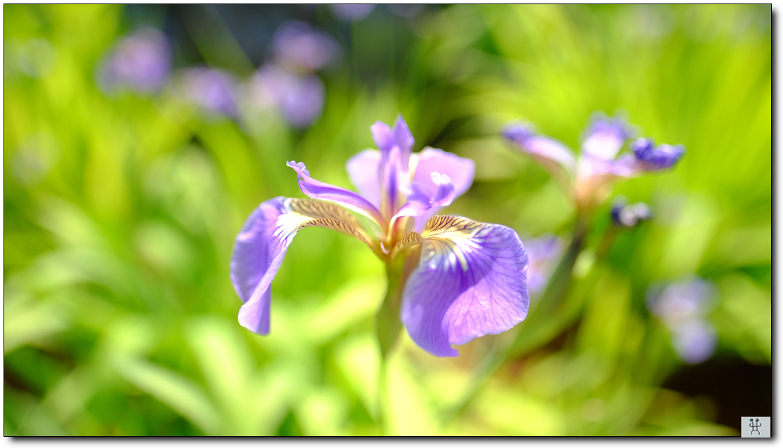 DSCF3103.jpg