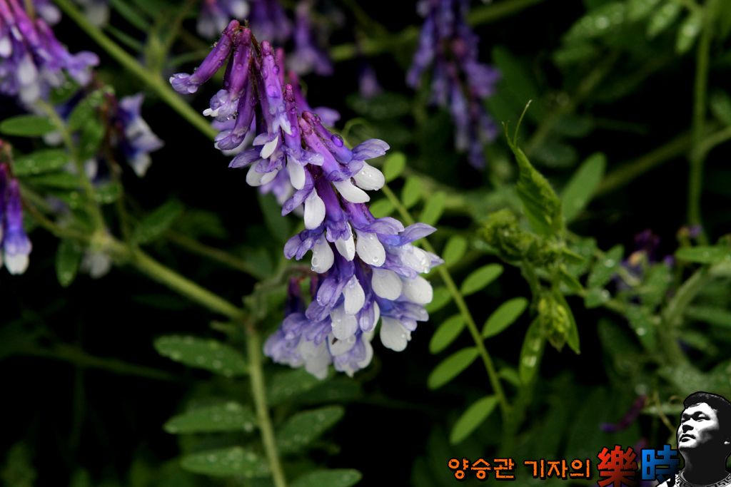 IMG_4973.jpg