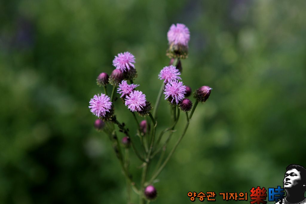 IMG_4998.jpg