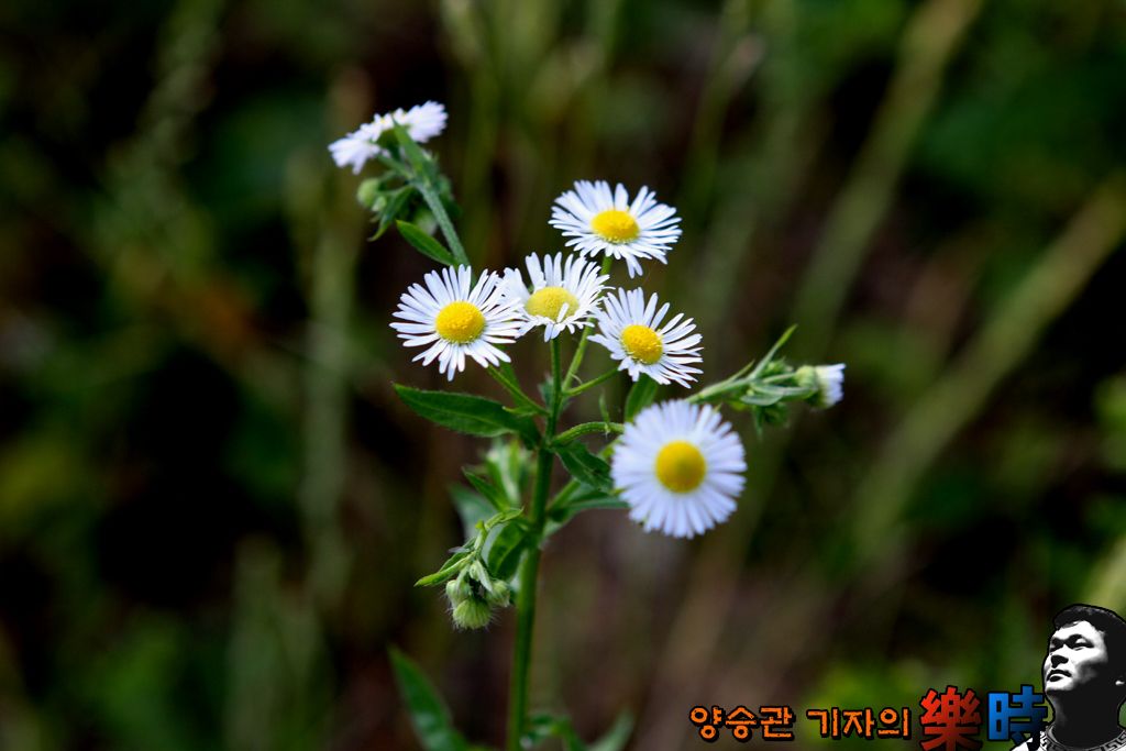 IMG_7314.JPG