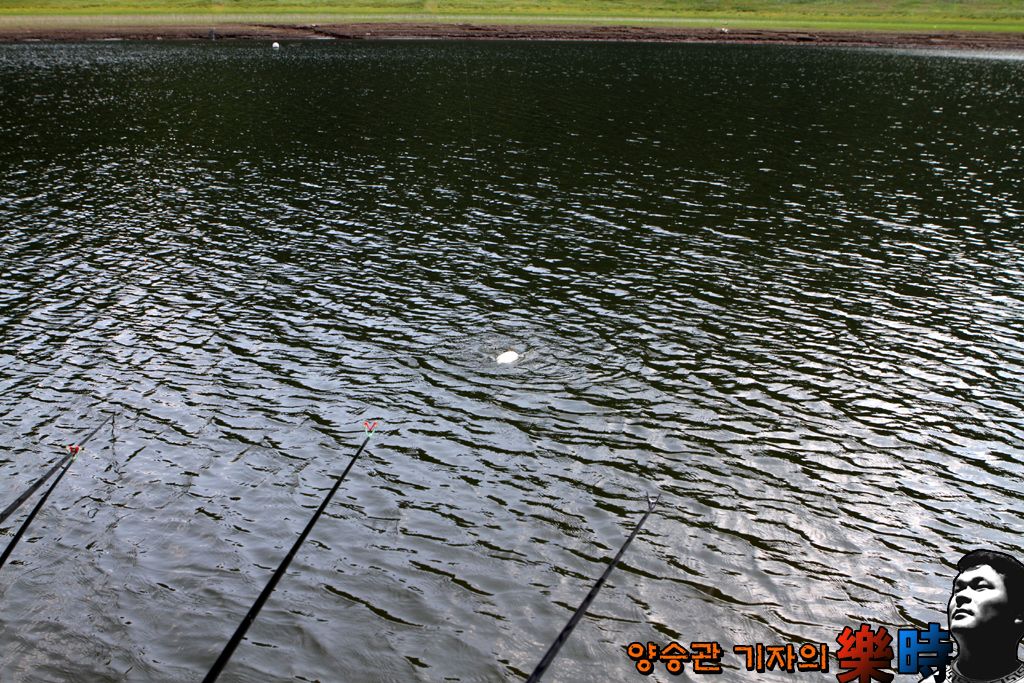 IMG_7299.JPG