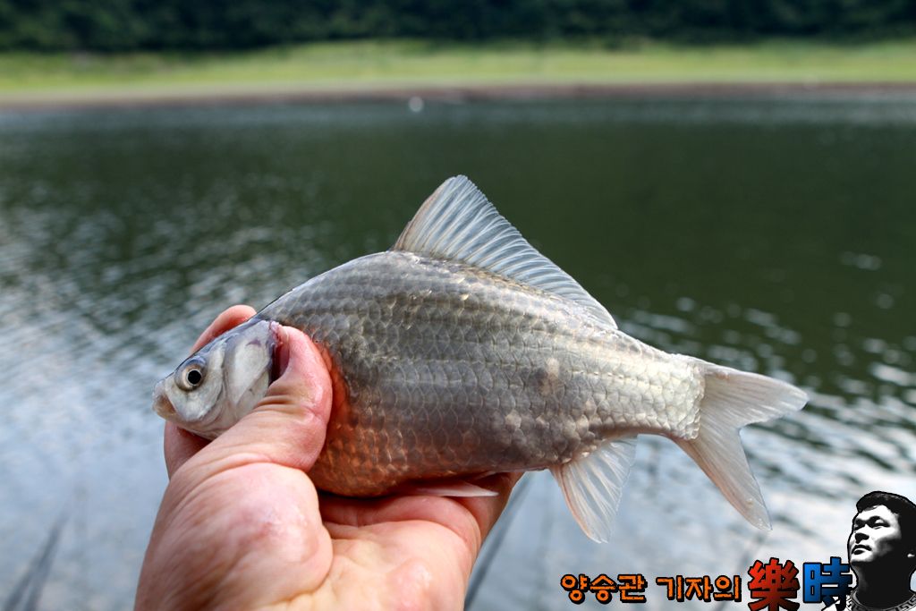 IMG_7302.JPG