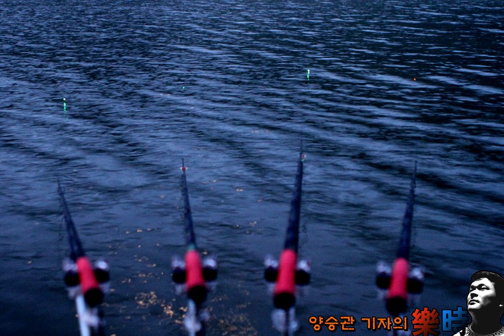 IMG_7341.JPG