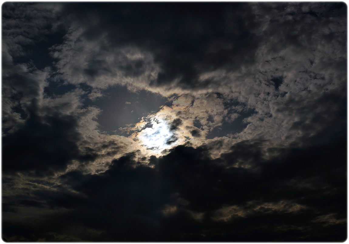 DSC06734.png
