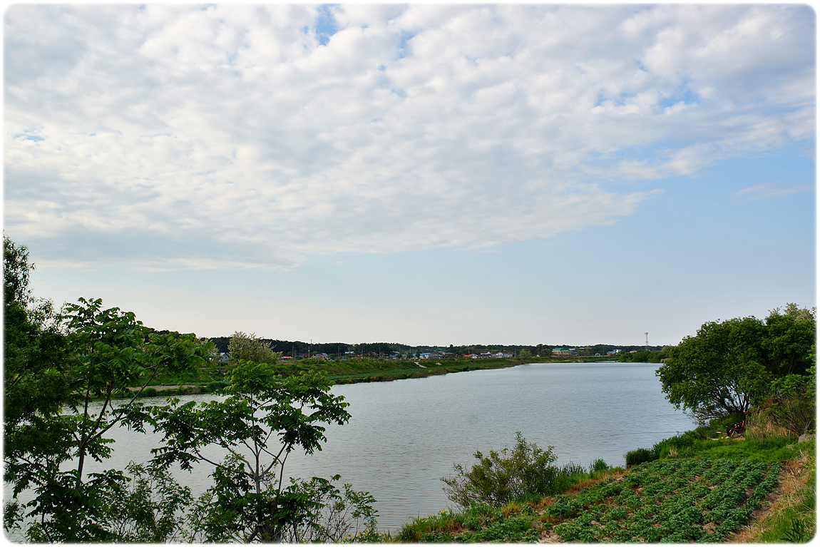 DSC06737.png