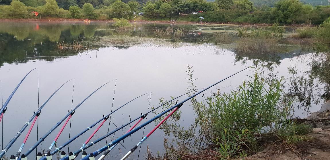 20180603_051552.jpg