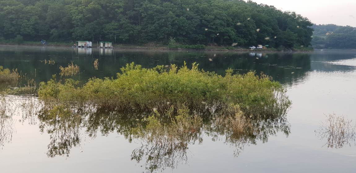20180603_060359.jpg