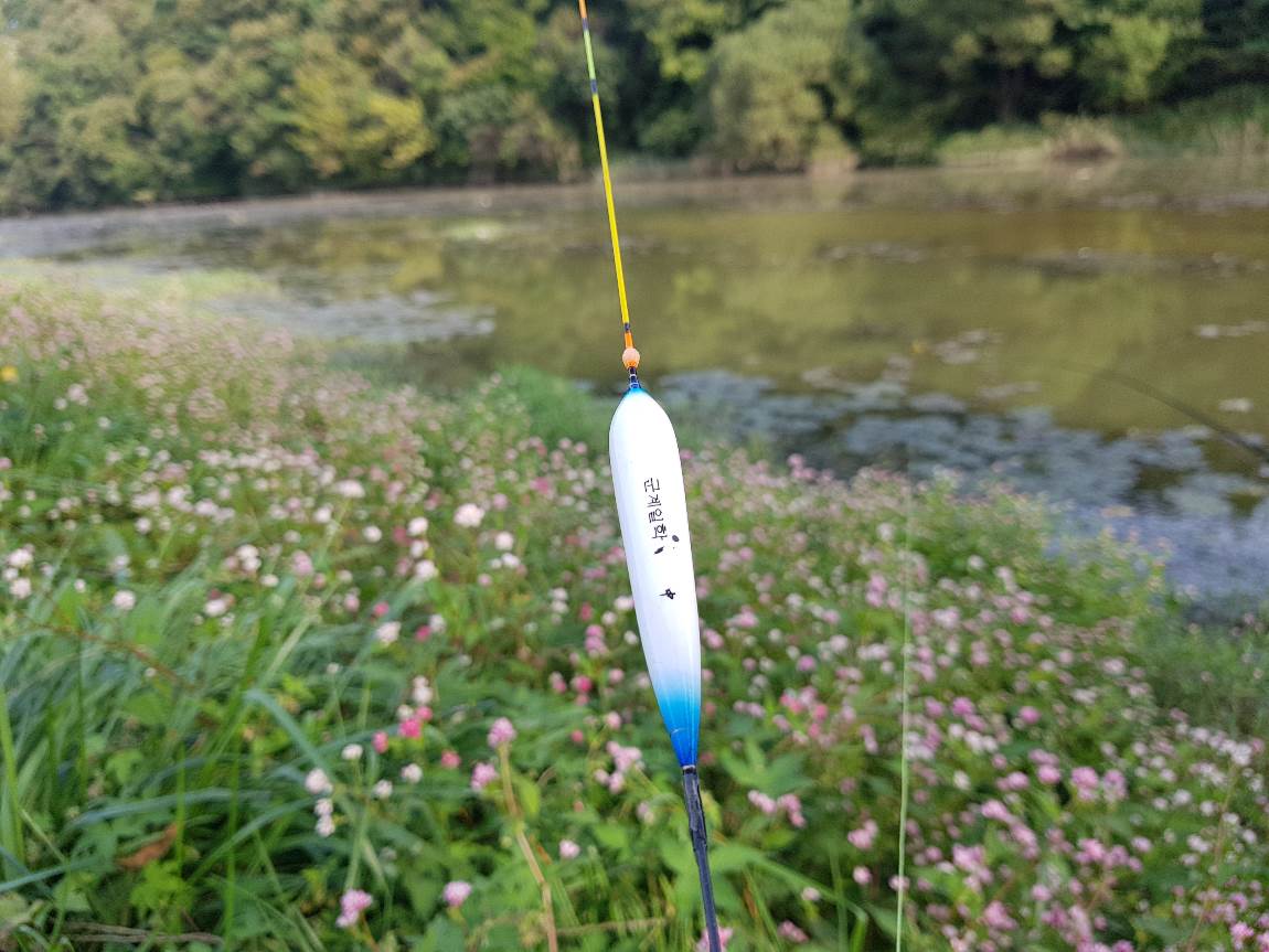 20170929_153723.jpg