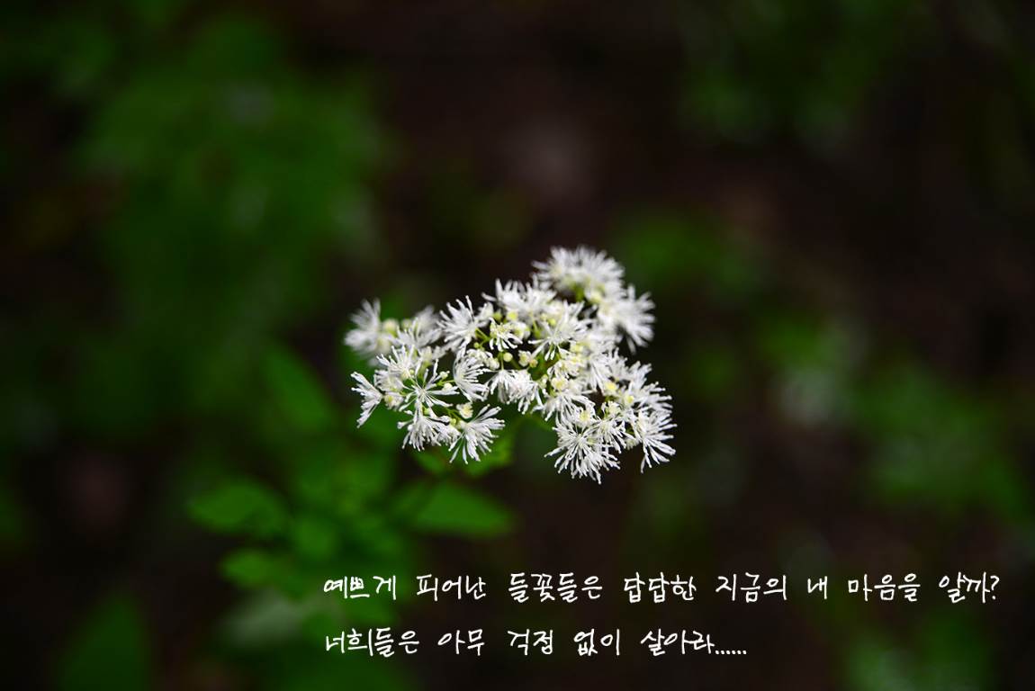 19B_2627-2720a.jpg