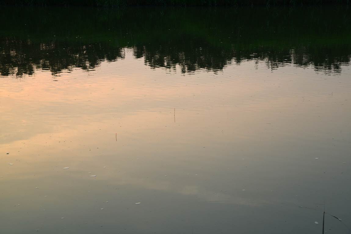 19B_2707.jpg