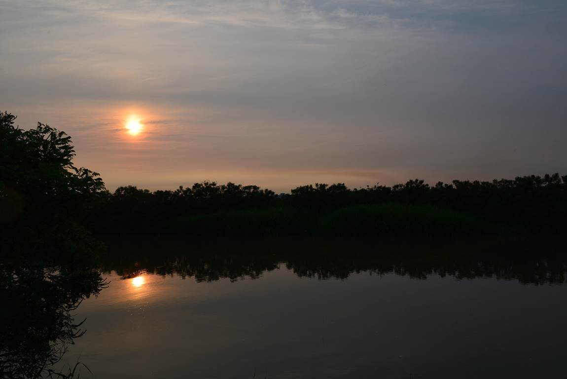 19B_2693.jpg