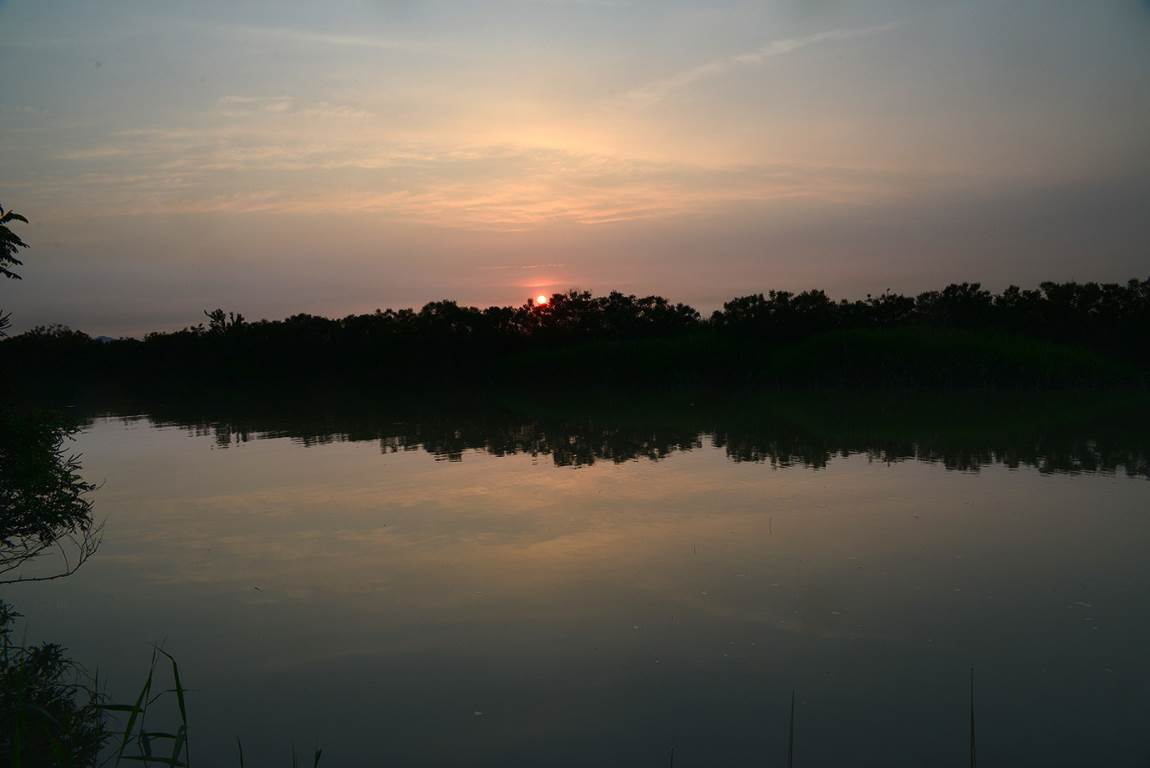 19B_2705-6.jpg