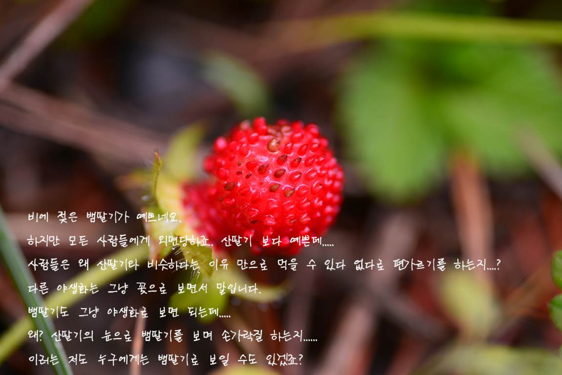 19B_2747-2735a.jpg