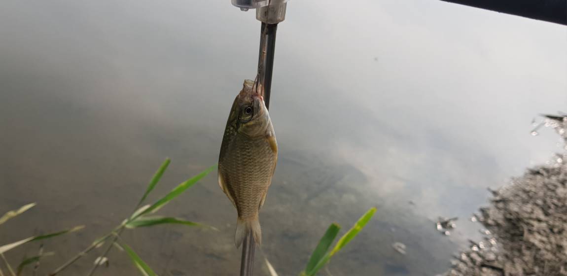 20190813_164326.jpg