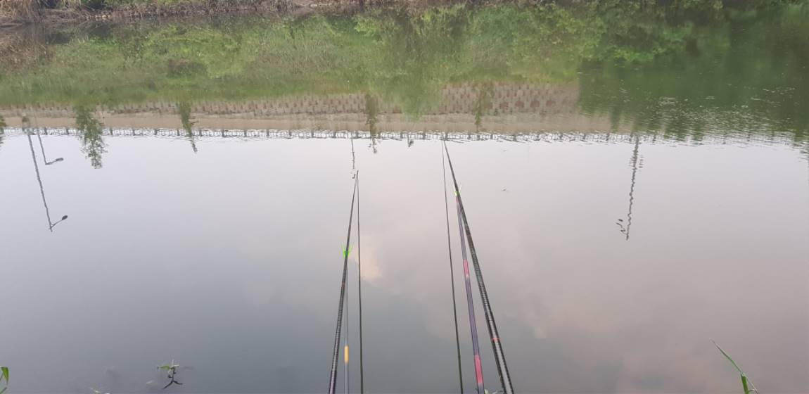 20190813_184611.jpg