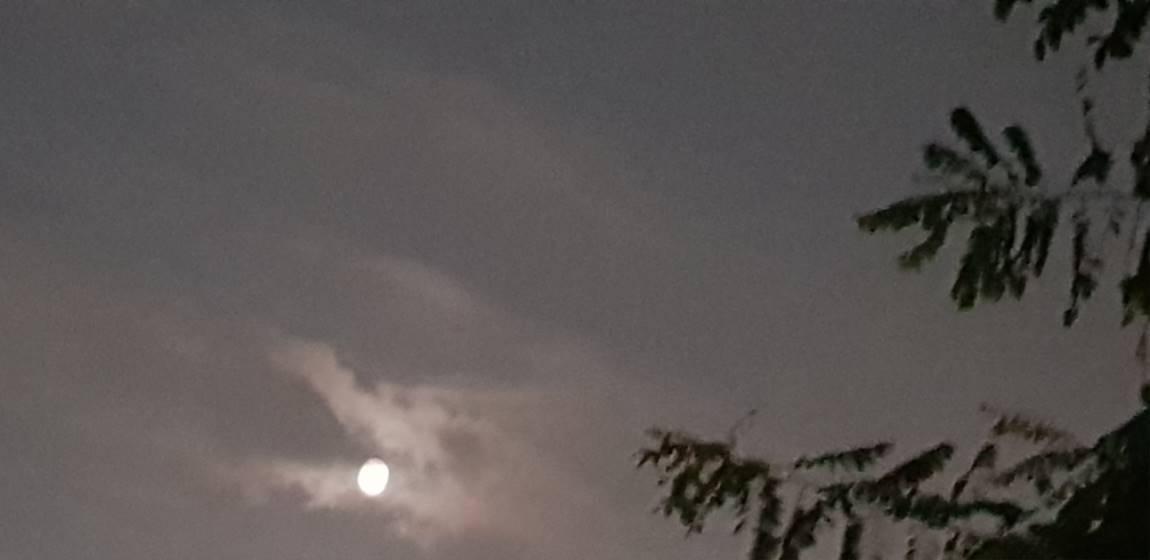 20190813_204037.jpg