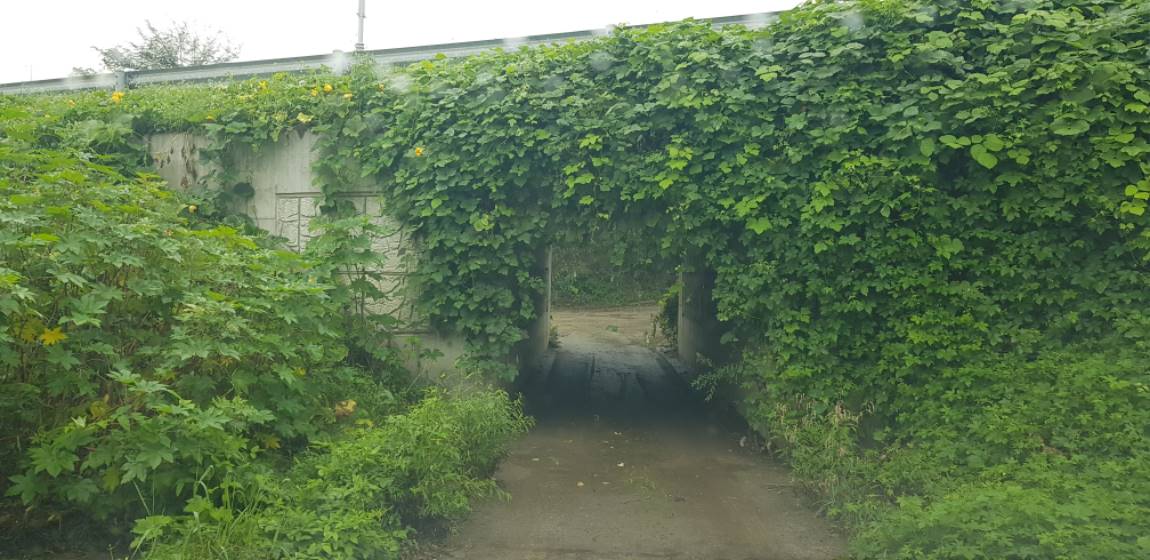20190914_144811.jpg