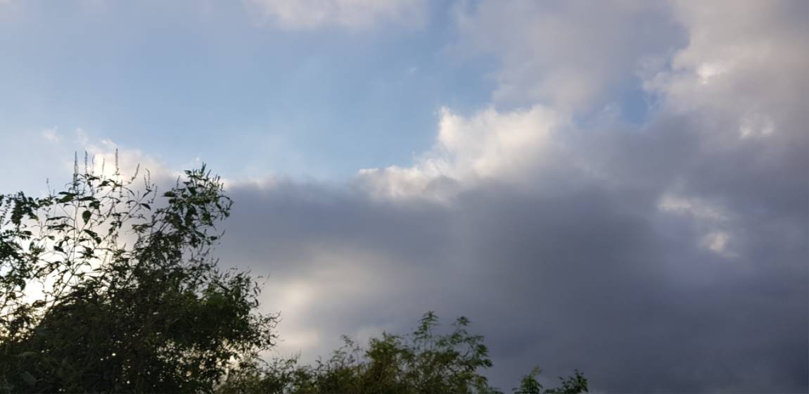 20190914_172452.jpg