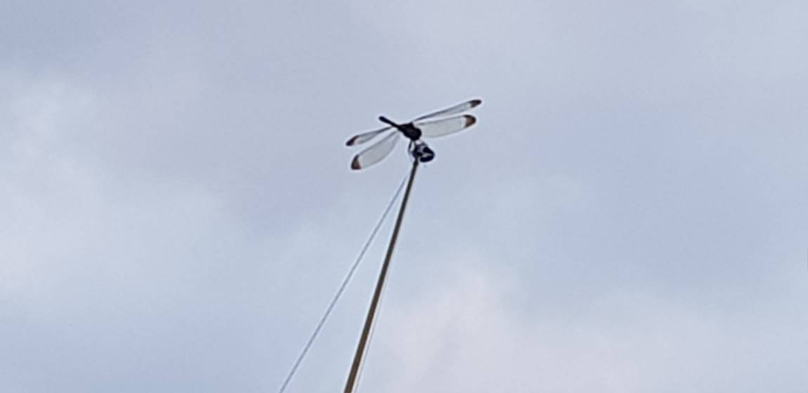 20190914_175644.jpg