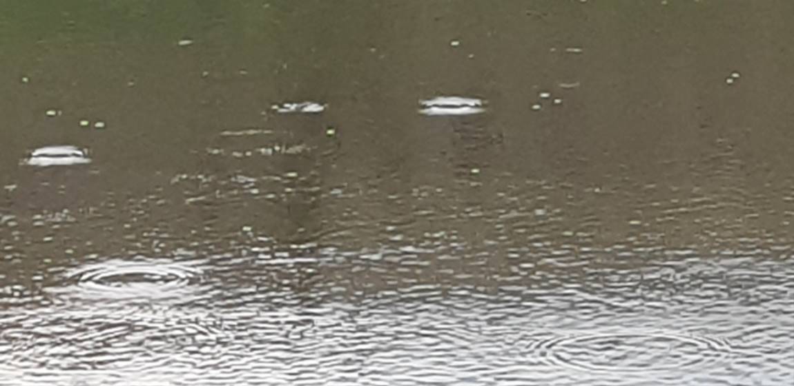 20190914_180010.jpg