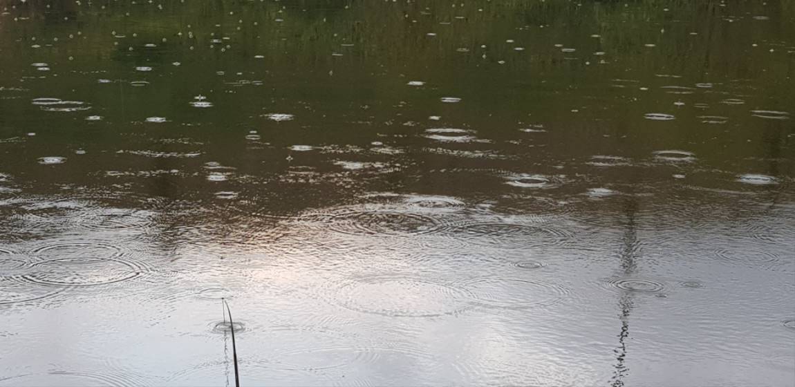 20190914_180017.jpg