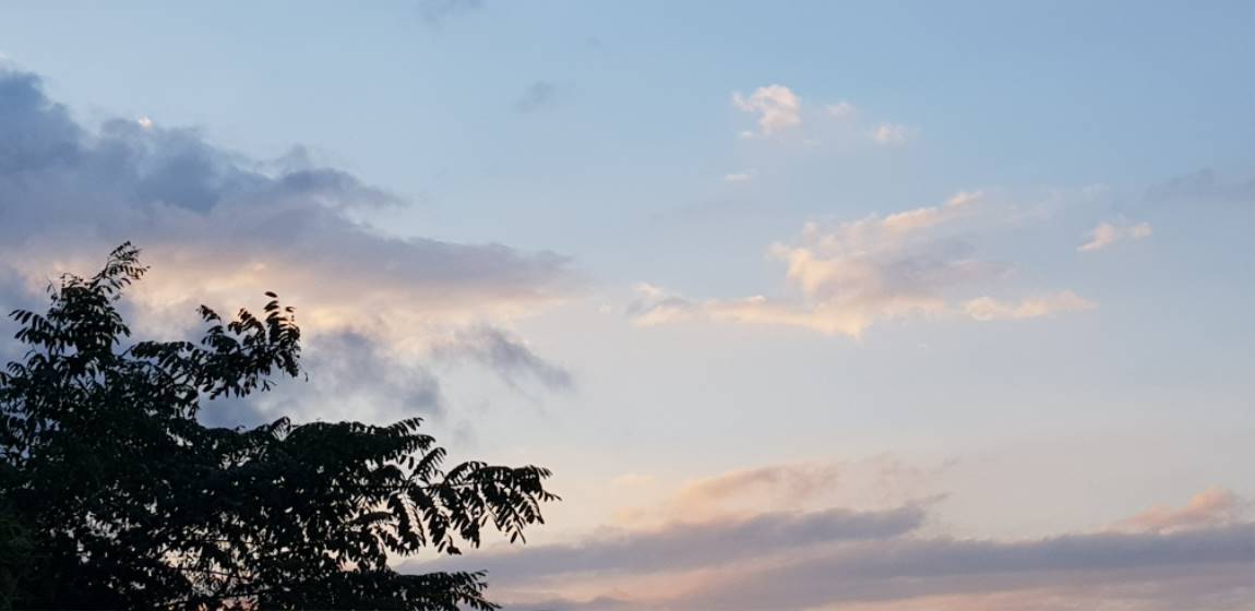 20190914_182610.jpg