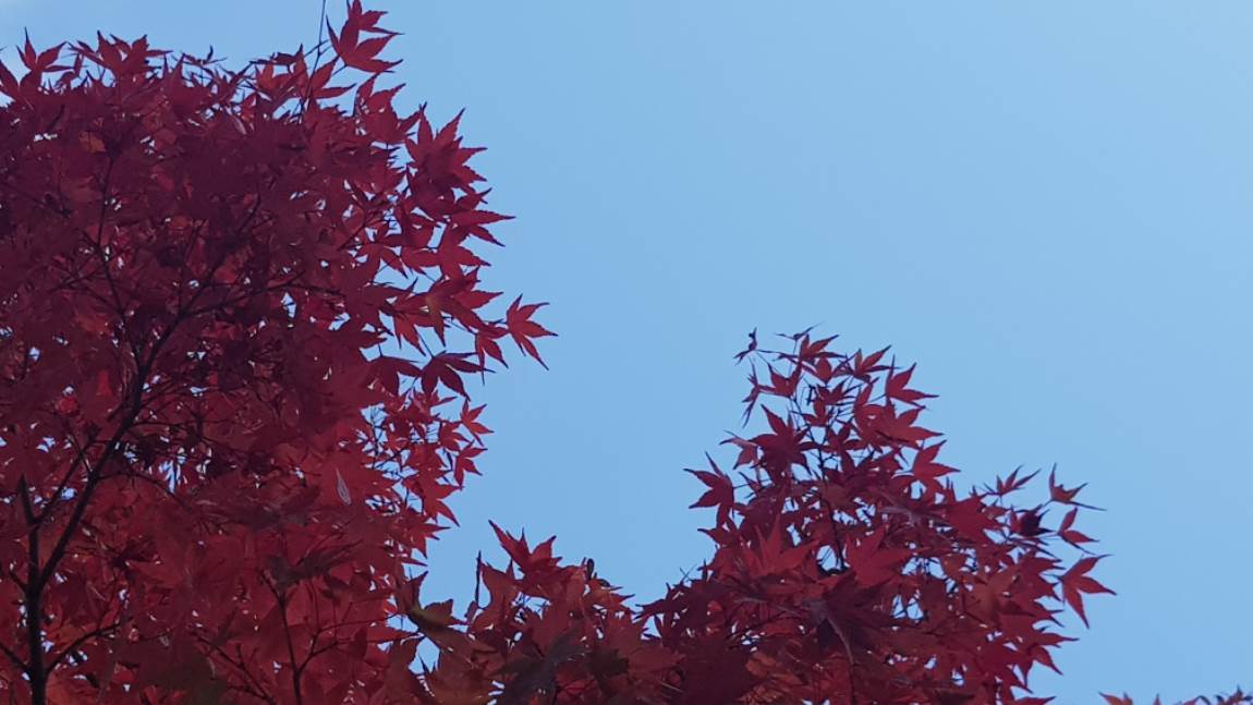 20191107_105859.jpg
